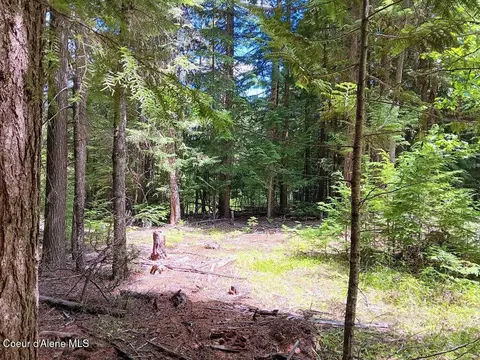 Exterior - 452 Toad Rd, Priest River, ID 83856 photo 21 of 23