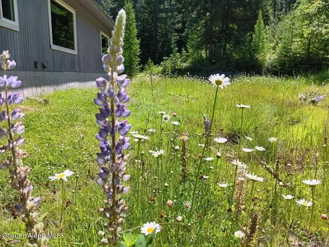 Exterior - 452 Toad Rd, Priest River, ID 83856 photo 11 of 23