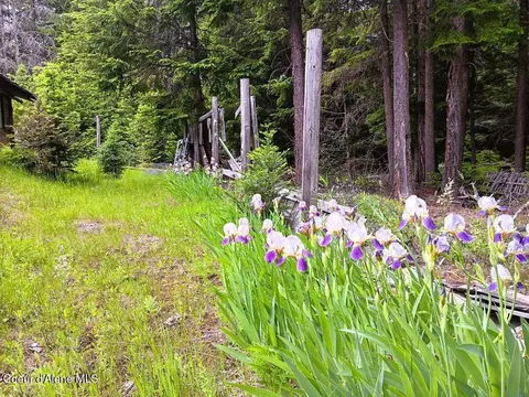 Exterior - 452 Toad Rd, Priest River, ID 83856 photo 9 of 23