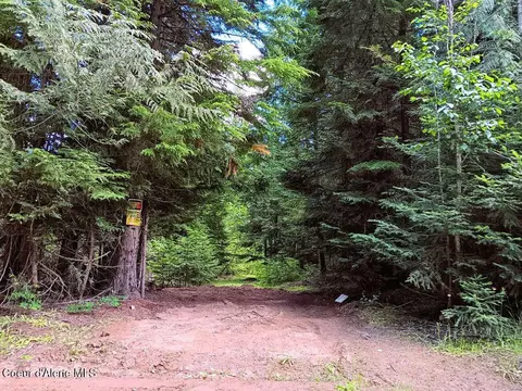 Exterior - 452 Toad Rd, Priest River, ID 83856 photo 19 of 23