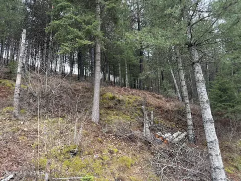 Nka Presley Ave, Kellogg, ID 83837 photo 7