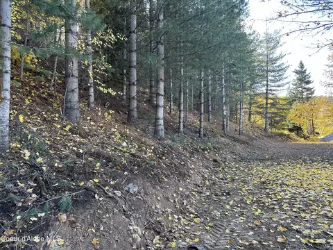 Nka Presley Ave, Kellogg, ID 83837 photo 5