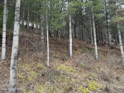 Nka Presley Ave, Kellogg, ID 83837 photo 8