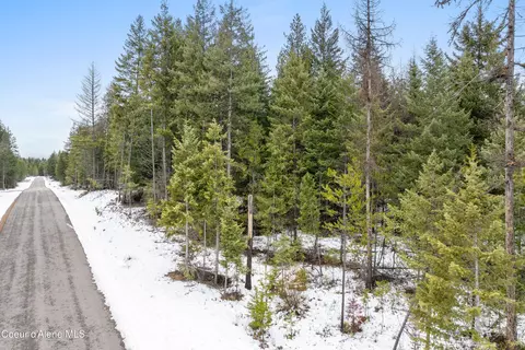 lot4 Blk2 Songbird Way, Spirit Lake, ID 83869