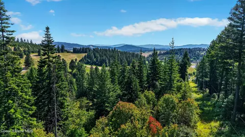 13227 W Elder Rd, Worley, ID 83876