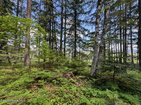 Nna Rolling Thunder Ridge Rd, Sandpoint, ID 83864 photo 26