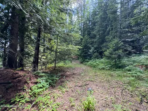 Nna Rolling Thunder Ridge Rd, Sandpoint, ID 83864 photo 25