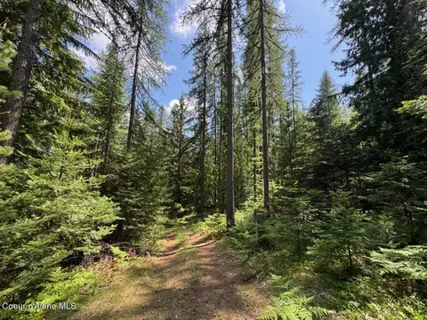 Nna Rolling Thunder Ridge Rd, Sandpoint, ID 83864 photo 27
