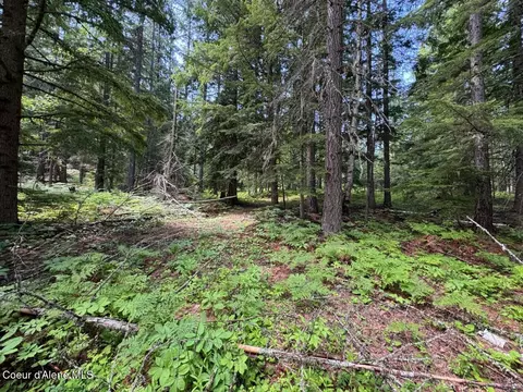Nna Rolling Thunder Ridge Rd, Sandpoint, ID 83864 photo 14