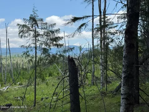 Nna Rolling Thunder Ridge Rd, Sandpoint, ID 83864 photo 10