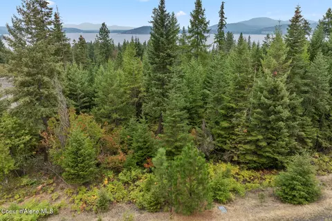 5343 S Jackleg Trl, Harrison, ID 83833 photo 6