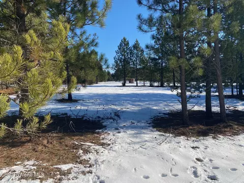 Nka Akin Back Ranch Rd, Athol, ID 83801 photo 6