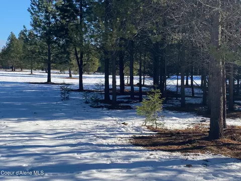 Nka Akin Back Ranch Rd, Athol, ID 83801 photo 3