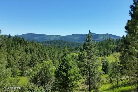 20 S Acres S Starr Rd, Rockford, WA 99030