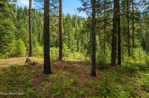 Nna Lantern Ln, Sandpoint, ID 83864 photo 3