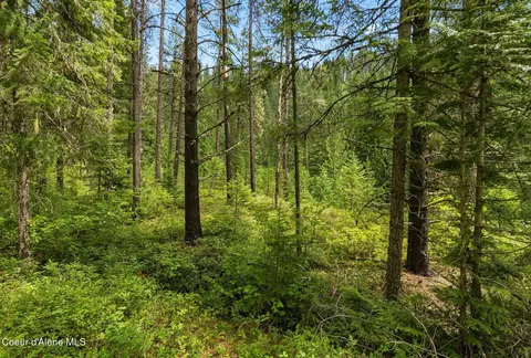 Nna Lantern Ln, Sandpoint, ID 83864 photo 8