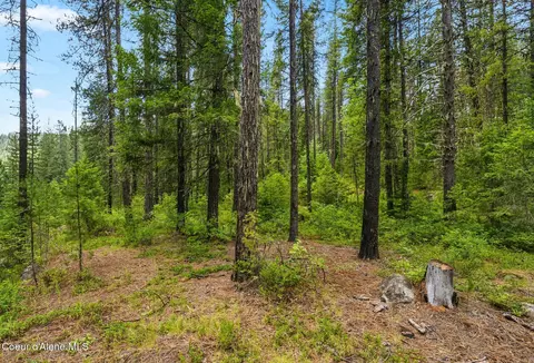 Nna Lantern Ln, Sandpoint, ID 83864 photo 26