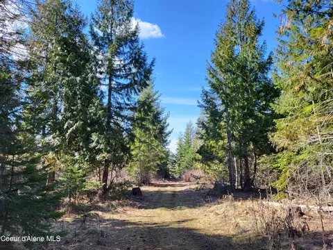 7380 E Bell Canyon Rd, Harrison, ID 83833 photo 8