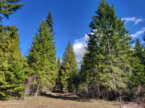 7380 E Bell Canyon Rd, Harrison, ID 83833 photo 13