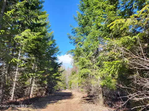 7380 E Bell Canyon Rd, Harrison, ID 83833 photo 9