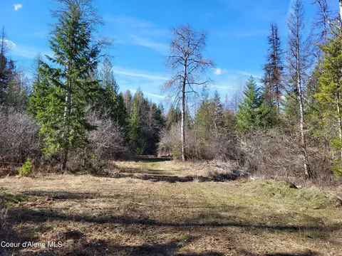 7380 E Bell Canyon Rd, Harrison, ID 83833 photo 10
