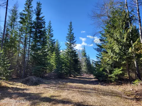 7380 E Bell Canyon Rd, Harrison, ID 83833 photo 12