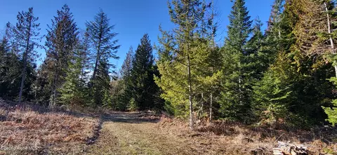 7380 E Bell Canyon Rd, Harrison, ID 83833 photo 23