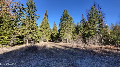 7380 E Bell Canyon Rd, Harrison, ID 83833 photo 15