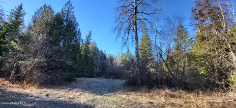 7380 E Bell Canyon Rd, Harrison, ID 83833 photo 14
