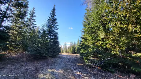 7380 E Bell Canyon Rd, Harrison, ID 83833 photo 3
