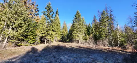 7380 E Bell Canyon Rd, Harrison, ID 83833 photo 20