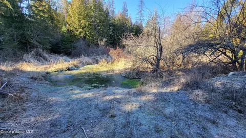 7380 E Bell Canyon Rd, Harrison, ID 83833 photo 26
