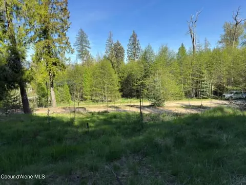 69 Shawnee Path, Sagle, ID 83860 photo 61