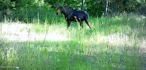 Nka Paper Ln, De Smet, ID 83824
