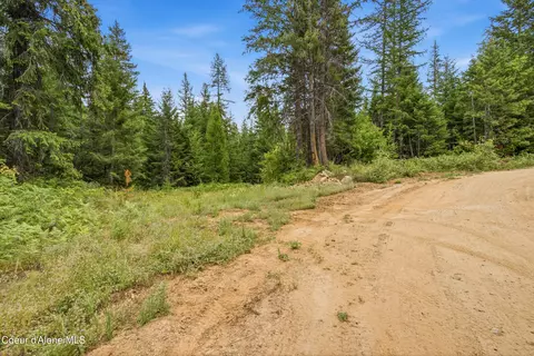 217 Whodathunkit Rd, Sandpoint, ID 83864 photo 18