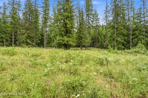 217 Whodathunkit Rd, Sandpoint, ID 83864 photo 21