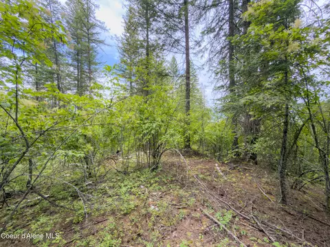 217 Whodathunkit Rd, Sandpoint, ID 83864 photo 27