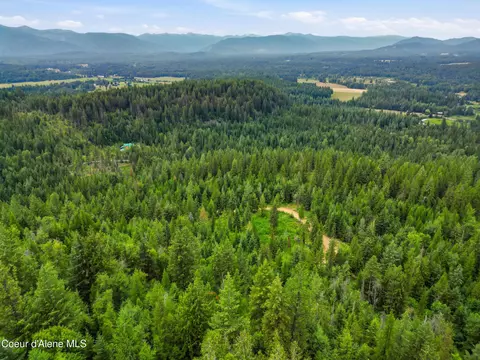 217 Whodathunkit Rd, Sandpoint, ID 83864 photo 11