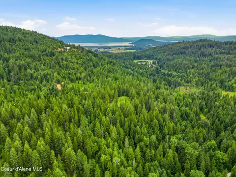 217 Whodathunkit Rd, Sandpoint, ID 83864 photo 2