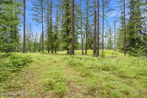 217 Whodathunkit Rd, Sandpoint, ID 83864 photo 19