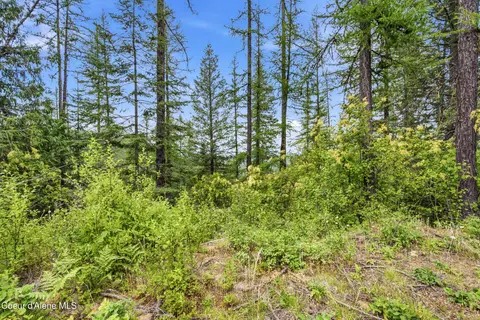 217 Whodathunkit Rd, Sandpoint, ID 83864 photo 25