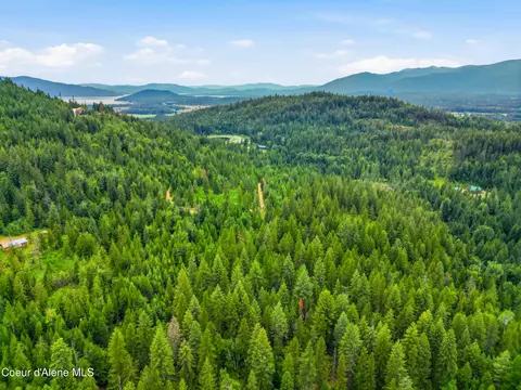 217 Whodathunkit Rd, Sandpoint, ID 83864 photo 9