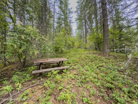 217 Whodathunkit Rd, Sandpoint, ID 83864 photo 26