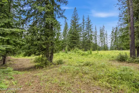 217 Whodathunkit Rd, Sandpoint, ID 83864 photo 23