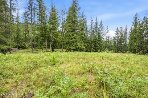 217 Whodathunkit Rd, Sandpoint, ID 83864 photo 20