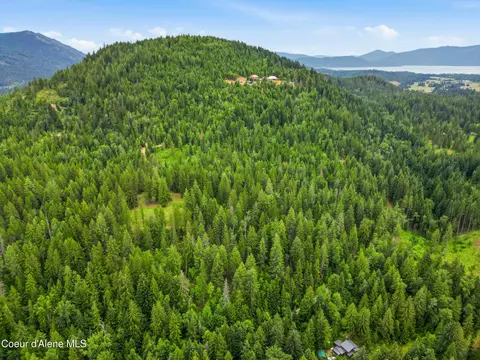217 Whodathunkit Rd, Sandpoint, ID 83864 photo 3
