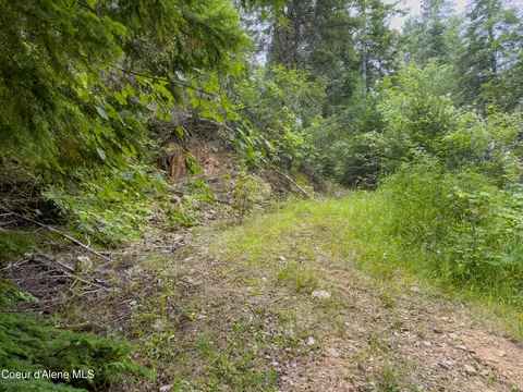 217 Whodathunkit Rd, Sandpoint, ID 83864 photo 30