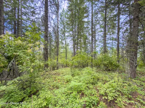 217 Whodathunkit Rd, Sandpoint, ID 83864 photo 28