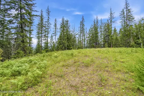 217 Whodathunkit Rd, Sandpoint, ID 83864 photo 22