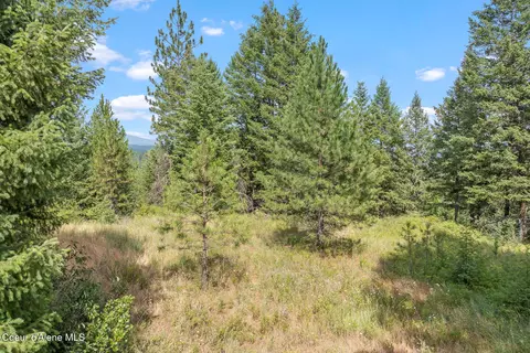 Nka E Forest View Rd, Athol, ID 83801 photo 3